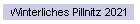 Winterliches Pillnitz 2021