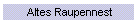Altes Raupennest