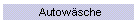 Autowsche