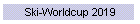 Ski-Worldcup 2019