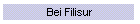 Bei Filisur