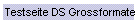 Testseite DS Grossformate